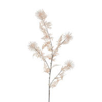 OKRASNA VEJA - barve šampanjca/bela, Basics (118/12/12cm)