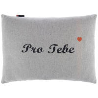 DEKORAČNÍ POLŠTÁŘ 40/60 cm - šedá, Design, textil (40/60cm) - David Fussenegger