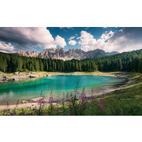 FOTOTAPETE - Multicolor, Trend, Textil (450/280cm)