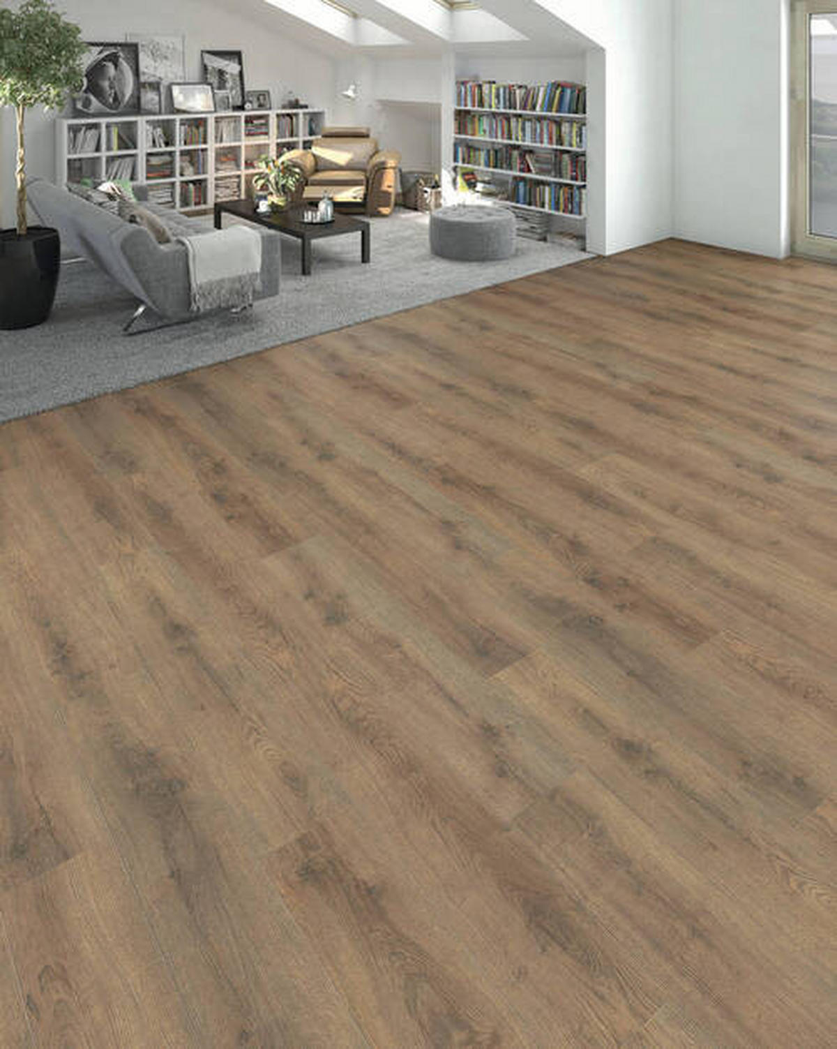 LAMINATBODEN Living by HARO Laminat Sonderedition NKL 31  per  m² - Mokka, Basics, Holzwerkstoff (19.3/128.2cm) - Living by HARO