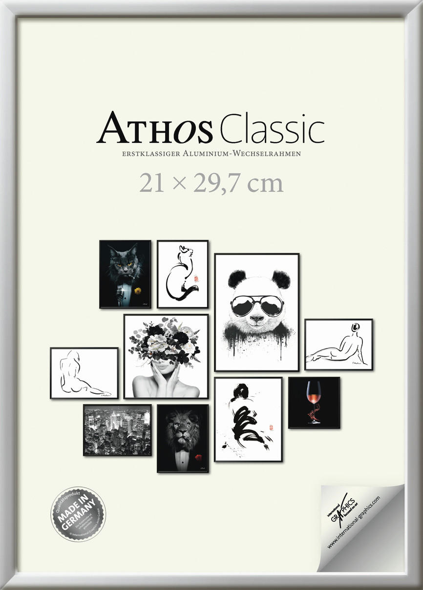 BILDERRAHMEN - Chromfarben, Basics, Papier/Holzwerkstoff (21/30/1,8cm)