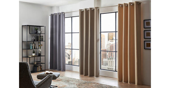 FERTIGVORHANG black-out (lichtundurchlässig) - Anthrazit, Basics, Textil (140/245cm) - Esposa