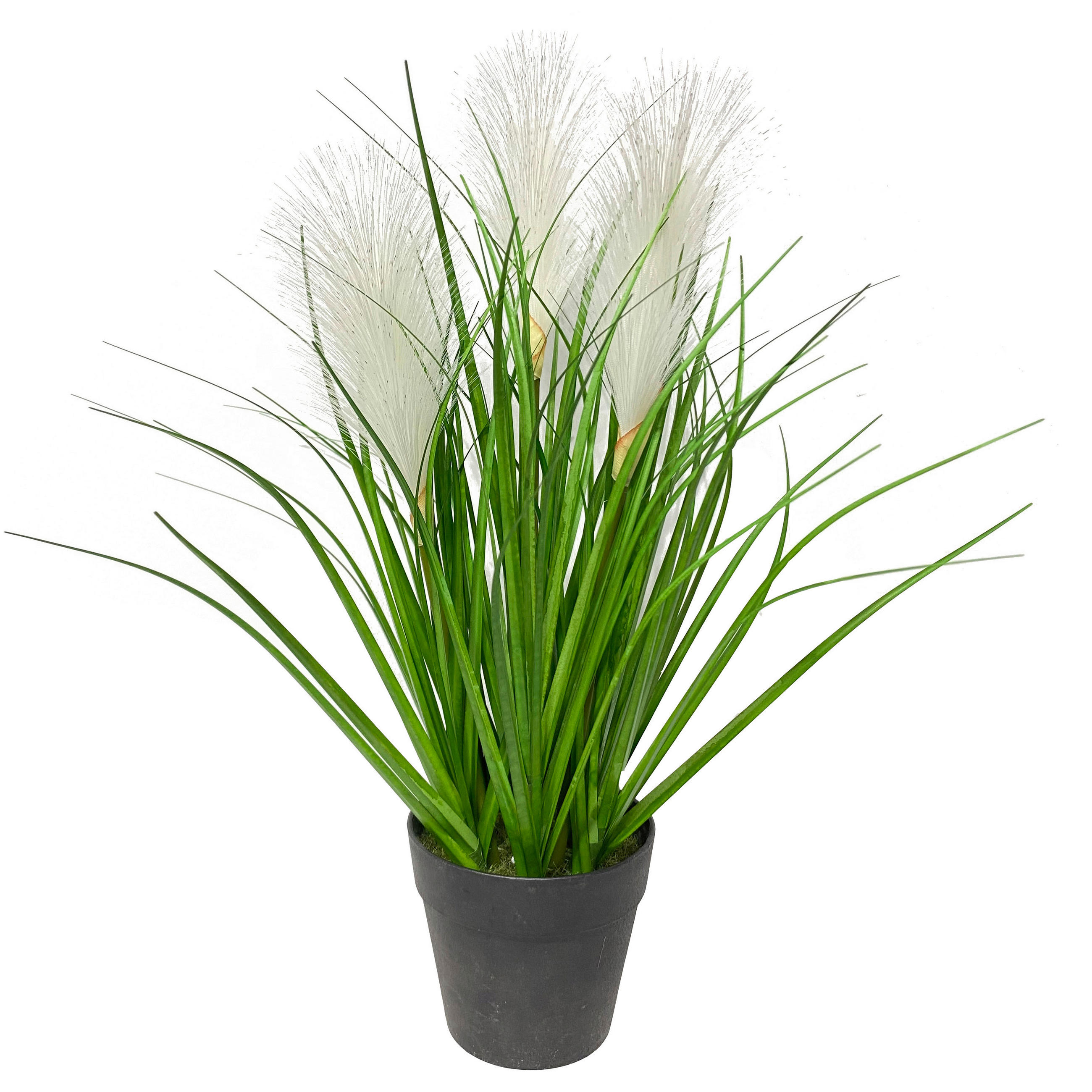 DEKORATIONSGRÄS - vit/grön, Basics, metall/plast (36cm) - Ambia Home