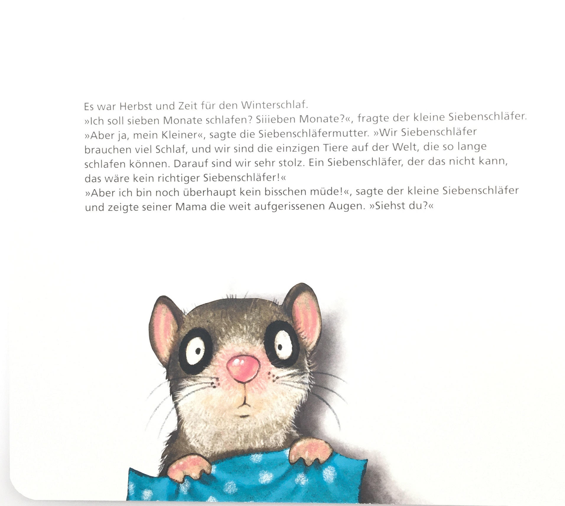 BILDERBUCH - Multicolor, Basics, Papier (16,8/21,0/1,8cm) - Carlsen