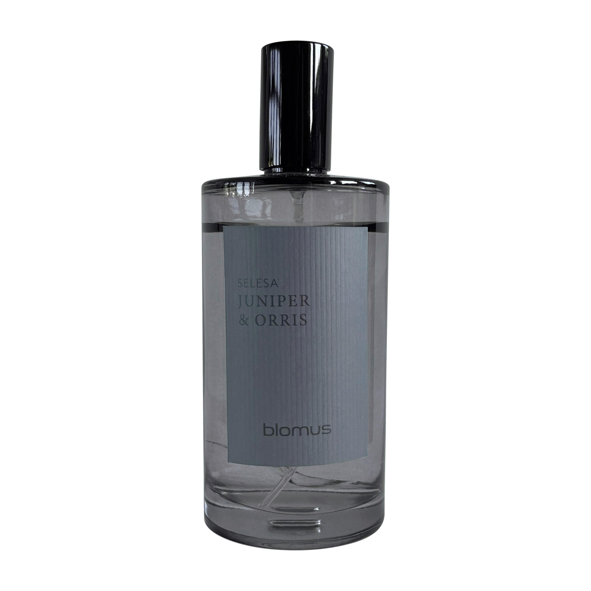 RAUMSPRAY SELESA  - Grau, Trend, Glas (5/13cm) - Blomus