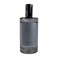 RAUMSPRAY SELESA  - Grau, Trend, Glas (5/13cm) - Blomus