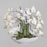 KUNSTBLUME Orchidee - Weiß/Grün, LIFESTYLE, Keramik/Kunststoff (70cm)