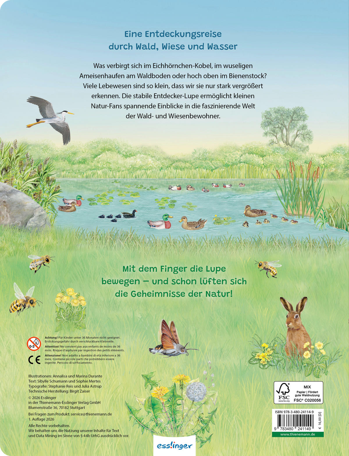 BUCH - Multicolor, Basics, Papier (24,5/32/1,4cm)