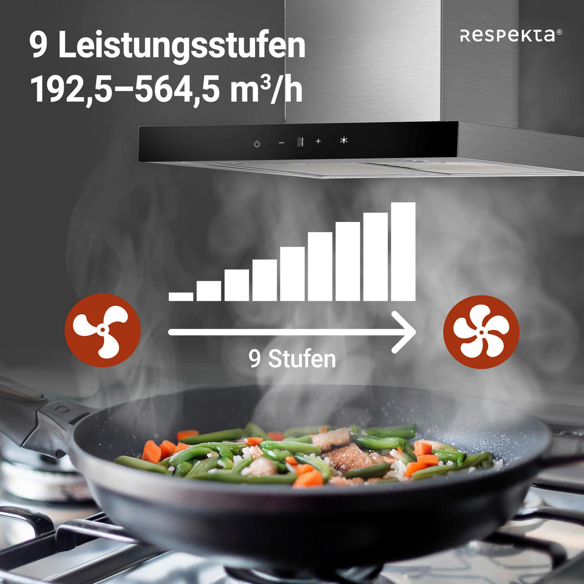 DUNSTABZUGSHAUBE 190030006002-20  - Edelstahlfarben, Basics, Metall (59,5/55-100/50cm) - Respekta