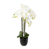 KUNSTBLUME Orchidee  - Schwarz/Weiß, Basics, Kunststoff (83cm)