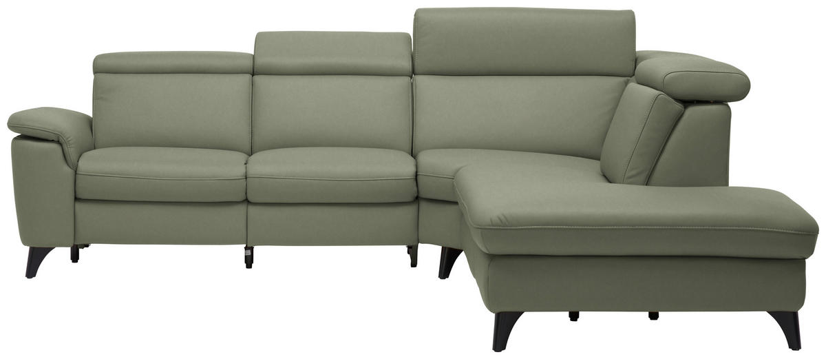 ECKSOFA in Echtleder Grün  285/239 cm  - Schwarz/Grün, Design, Leder/Metall (285/239cm) - Cantus