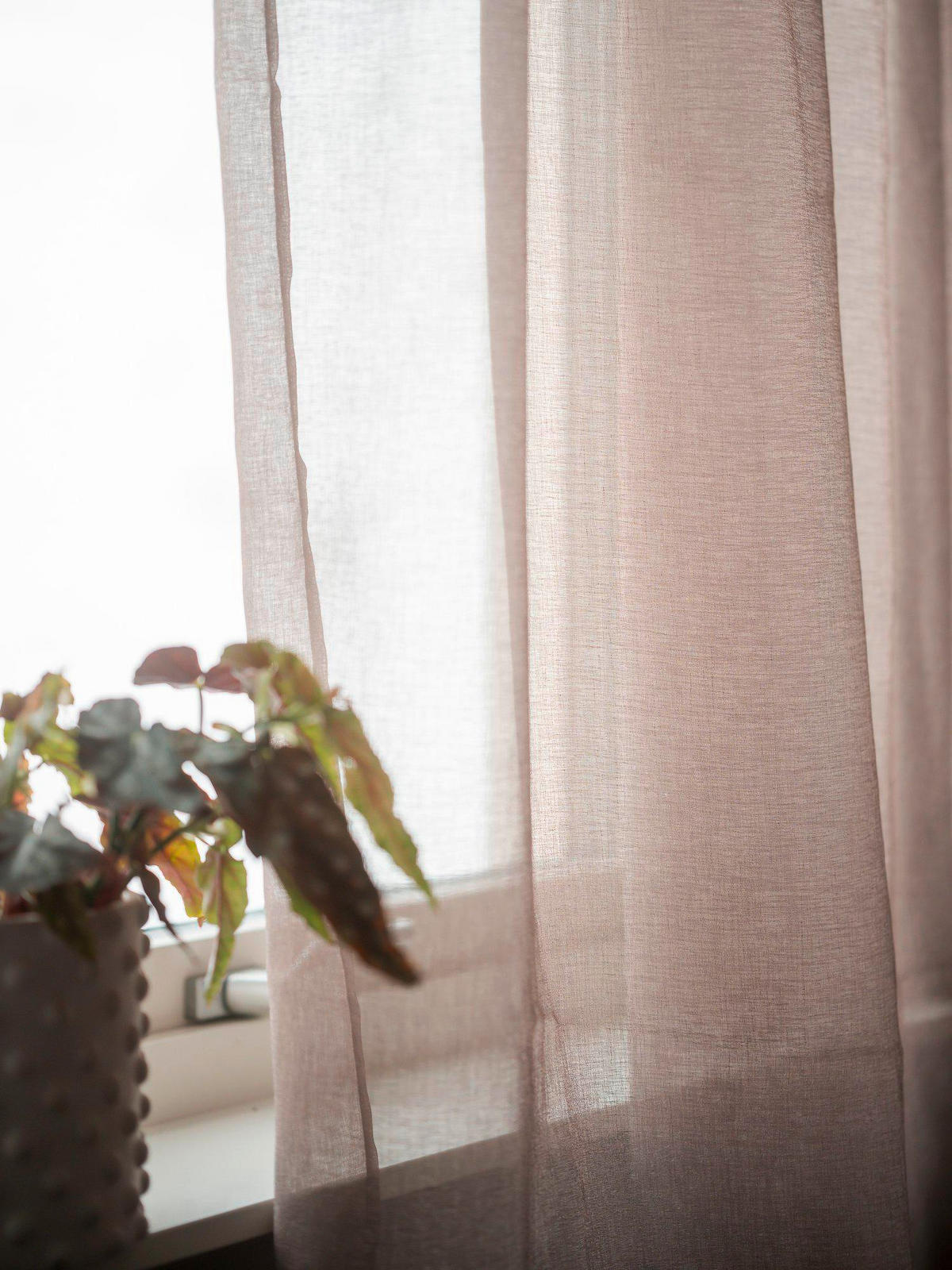 FERTIGVORHANG    280/300 cm  - Braun, Basics, Textil (280/300cm) - Svanefors