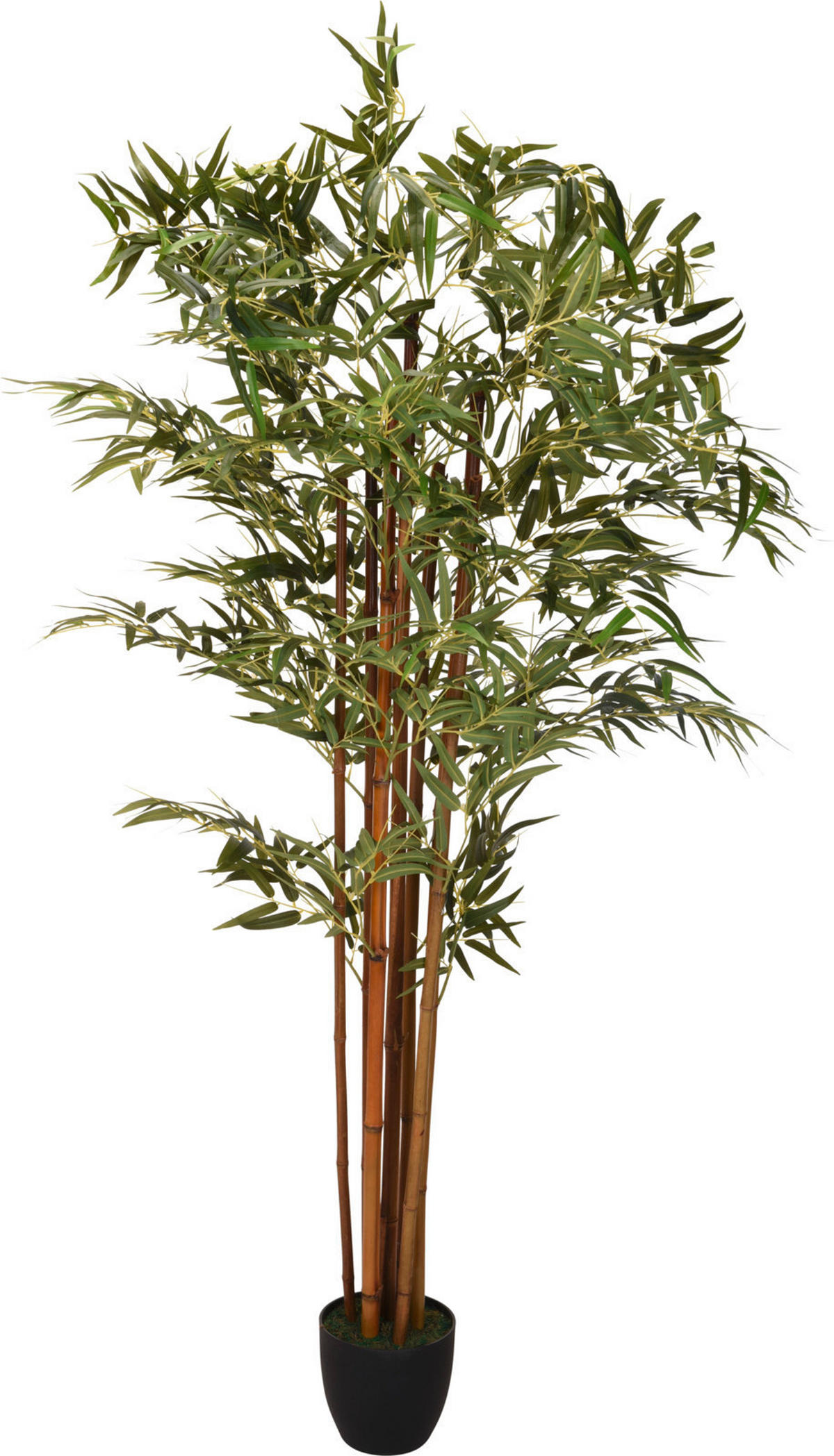 FLOARE ARTIFICIALĂ - Basics, plastic (90/180cm)