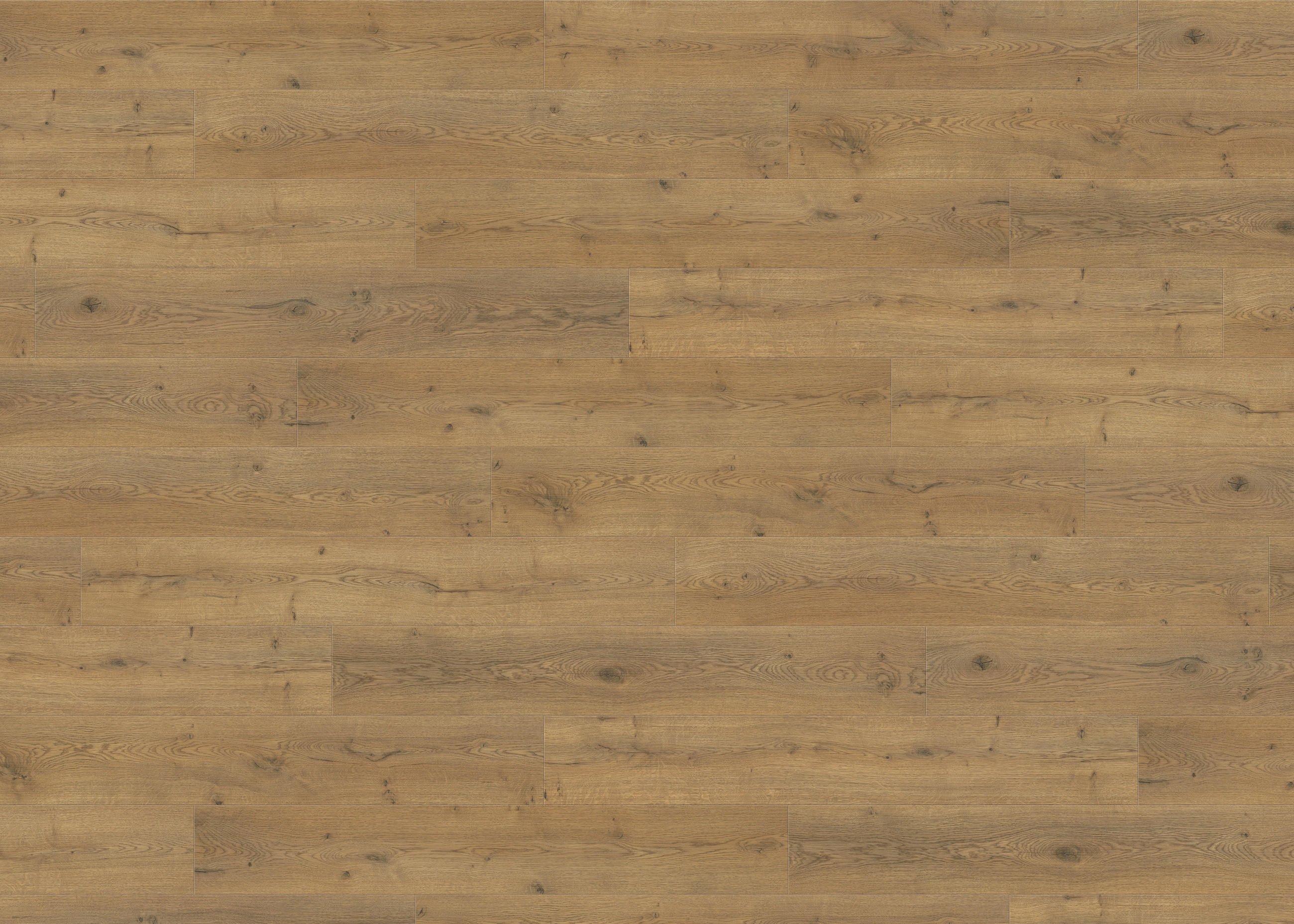 LAMINATBODEN Living by HARO Laminat Sonderedition NKL 31  per  m² - Eichefarben, Basics, Holzwerkstoff (19.3/128.2cm) - Living by HARO