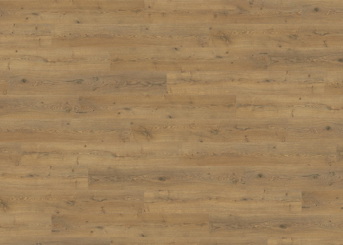 LAMINATBODEN Living by HARO Laminat Sonderedition NKL 31  per  m² - Eichefarben, Basics, Holzwerkstoff (19.3/128.2cm) - Living by HARO