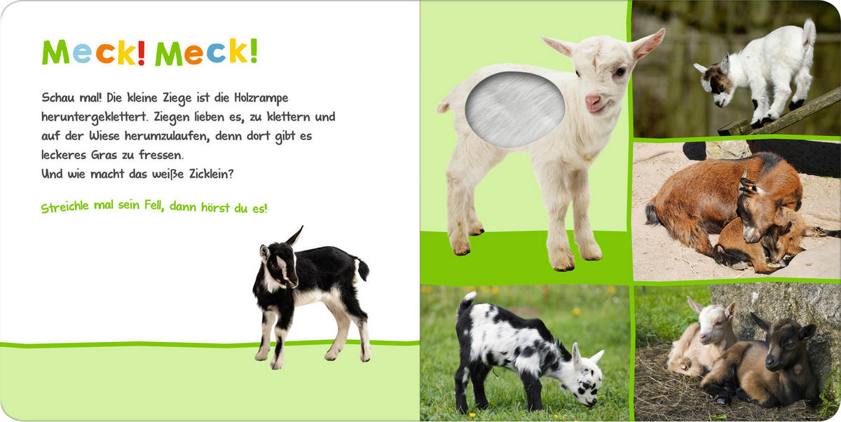 BUCH - Basics, Naturmaterialien (20/20/2cm)