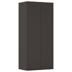 DREHTÜRENSCHRANK 101/223/61 cm,  in Graphitfarben, 2-türig  - Graphitfarben, Basics, Holzwerkstoff/Metall (101/223/61cm) - Novel