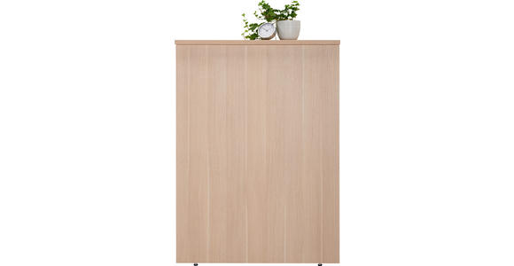 SICHTBLENDE Eichefarben - Eichefarben, Design, Holzwerkstoff (80/112,9/28cm) - Moderano