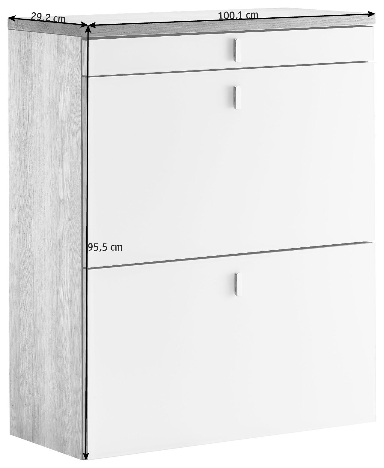SCHUHKIPPER 100,1/95,5/29,2 cm  - Edelstahlfarben/Erlefarben, Design, Glas/Holz (100,1/95,5/29,2cm) - Team 7