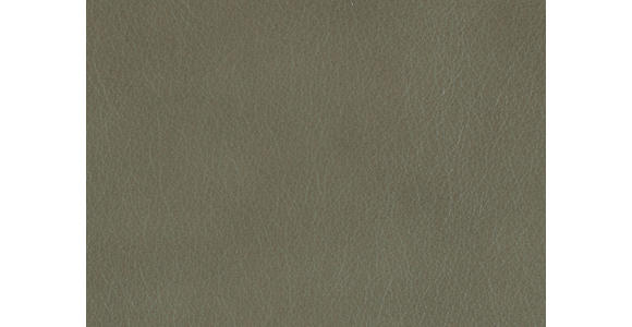 RELAXSESSEL in Leder Graugrün  - Edelstahlfarben/Graugrün, Design, Leder/Metall (76/119/86cm) - Dieter Knoll