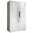 KLEIDERSCHRANK  in Weiß  - Alufarben/Weiß, KONVENTIONELL, Glas/Holzwerkstoff (120/195/55cm) - Carryhome