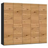DREHTÜRENSCHRANK 253/220/59 cm 5-türig Wildeiche  - Wildeiche/Silberfarben, Design, Holz/Holzwerkstoff (253/220/59cm) - Jutzler