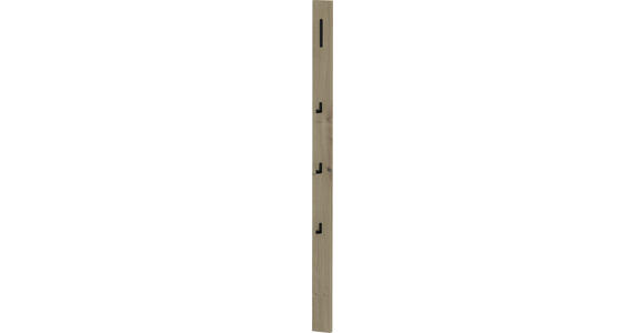 GARDEROBENPANEEL in 10/165/5 cm - Eichefarben/Schwarz, Design, Holzwerkstoff/Metall (10/165/5cm) - Dieter Knoll