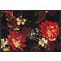 FUßMATTE 50/75 cm Floral Multicolor, Rot, Schwarz - Rot/Multicolor, Kunststoff/Textil (50/75cm) - Esposa FUßMATTE 50/75 cm Floral Multicolor, Rot, Schwarz - Rot/Multicolor, Kunststoff/Textil (50/75cm) - Esposa