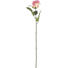 KUNSTBLUME - Lila/Rot, Basics, Kunststoff/Textil (62cm) KUNSTBLUME - Lila/Rot, Basics, Kunststoff/Textil (62cm)