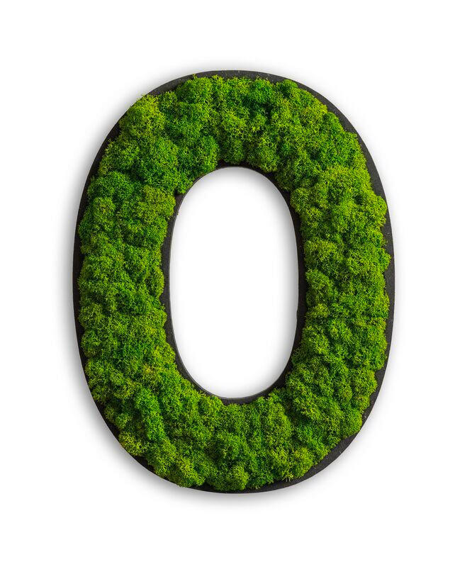 StyleGREEN MECHOVÝ OBRAZ
