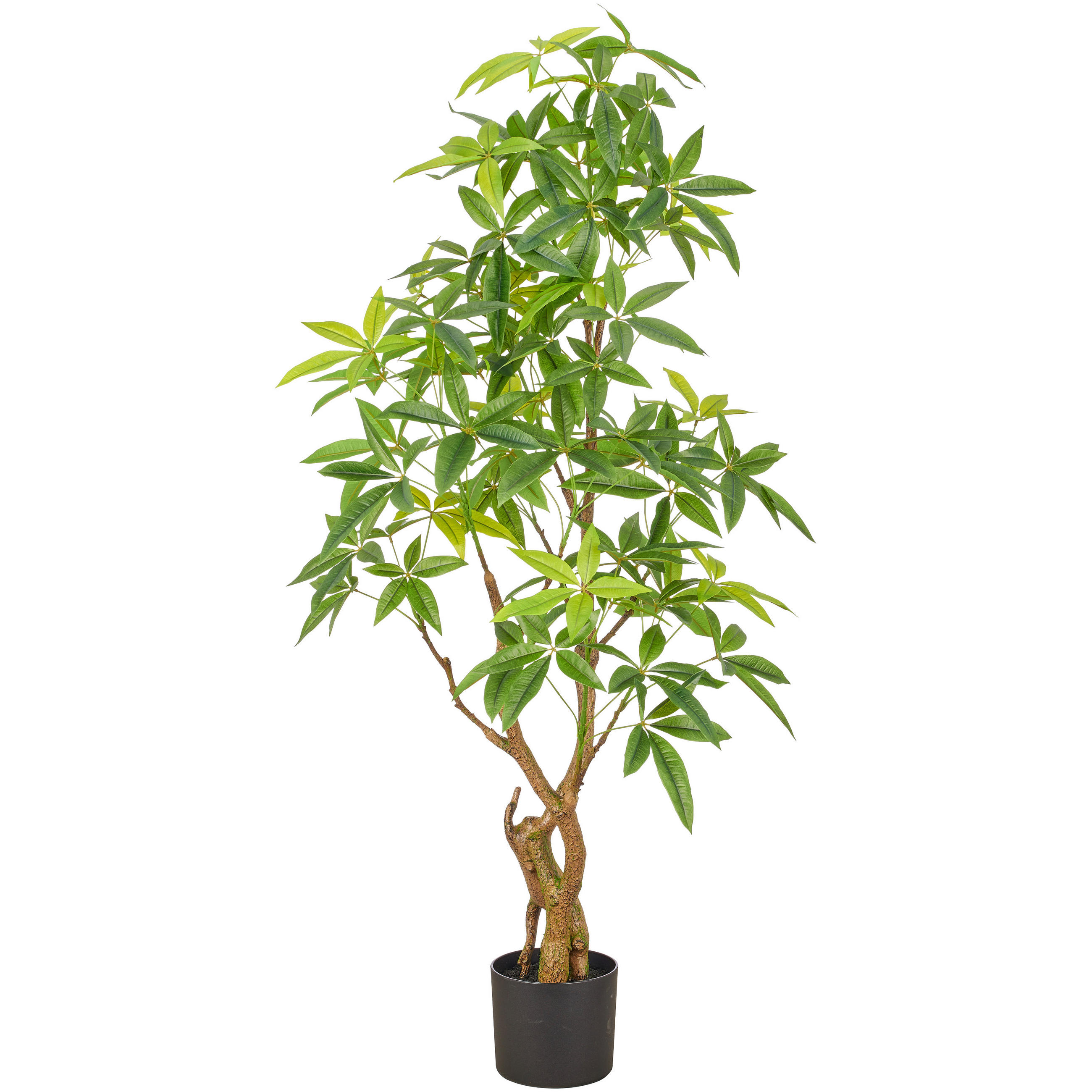 KUNSTPFLANZE Glückskastanie 140 cm  - Schwarz/Braun, Basics, Kunststoff (140cm)