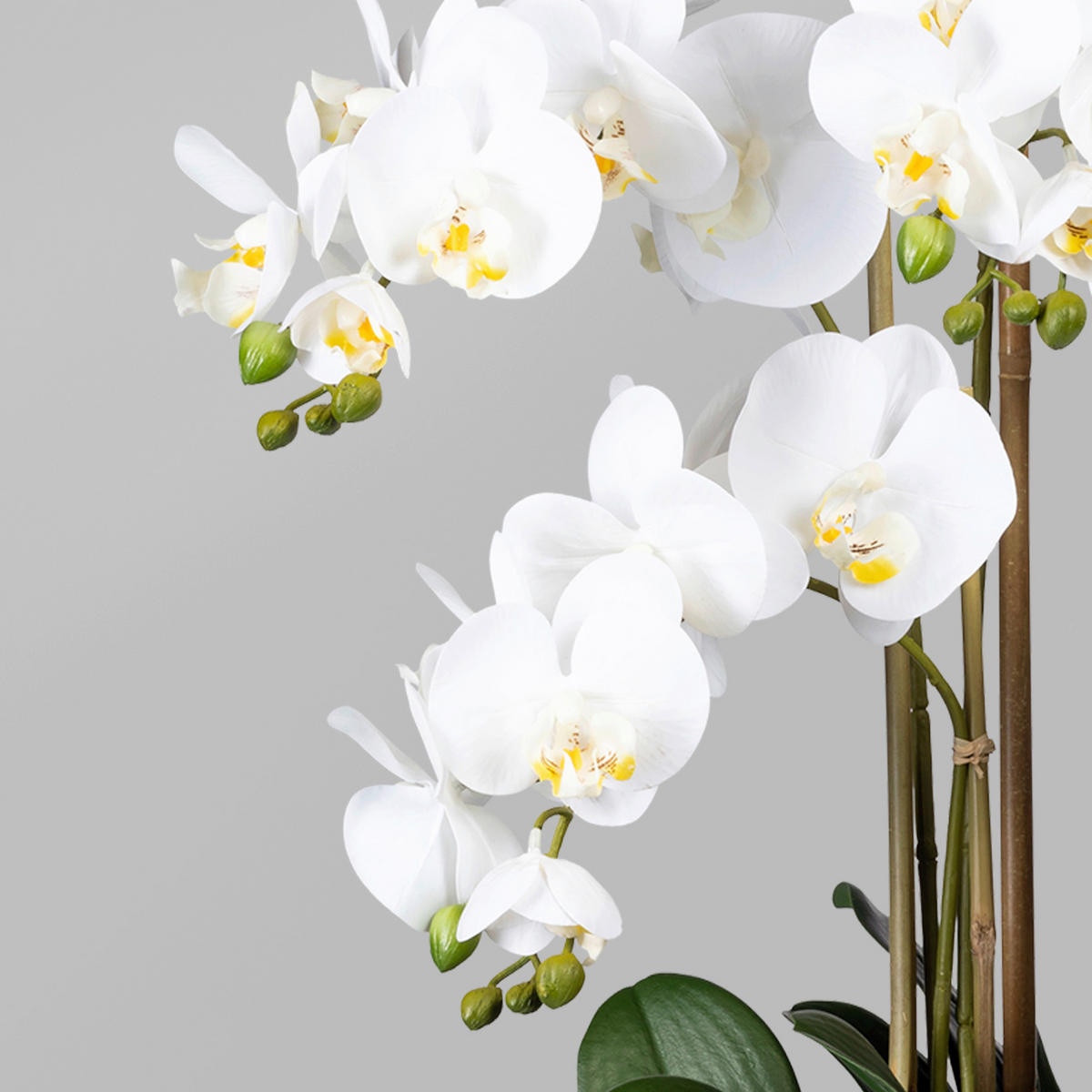 KUNSTBLUME Orchidee  - Weiß/Braun, Trend, Kunststoff (75cm)