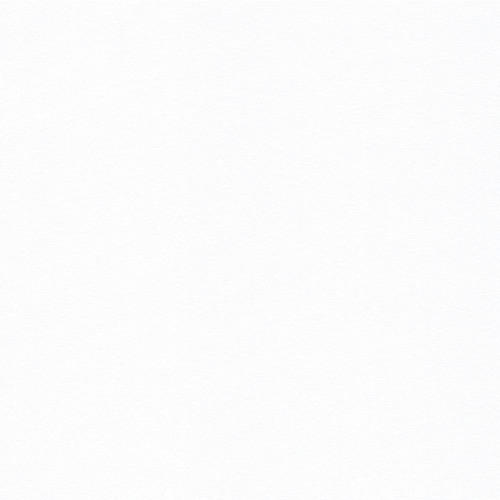 Material Perdele Și Draperii transparent  - alb, Basics, textil (330cm)