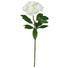 KUNSTBLUME - Creme, Basics, Kunststoff/Textil (63cm) KUNSTBLUME - Creme, Basics, Kunststoff/Textil (63cm)