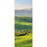 Landschaft & Natur KEILRAHMENBILD - Multicolor, KONVENTIONELL, Holz/Papier (30/80/3cm) Landschaft & Natur KEILRAHMENBILD - Multicolor, KONVENTIONELL, Holz/Papier (30/80/3cm)