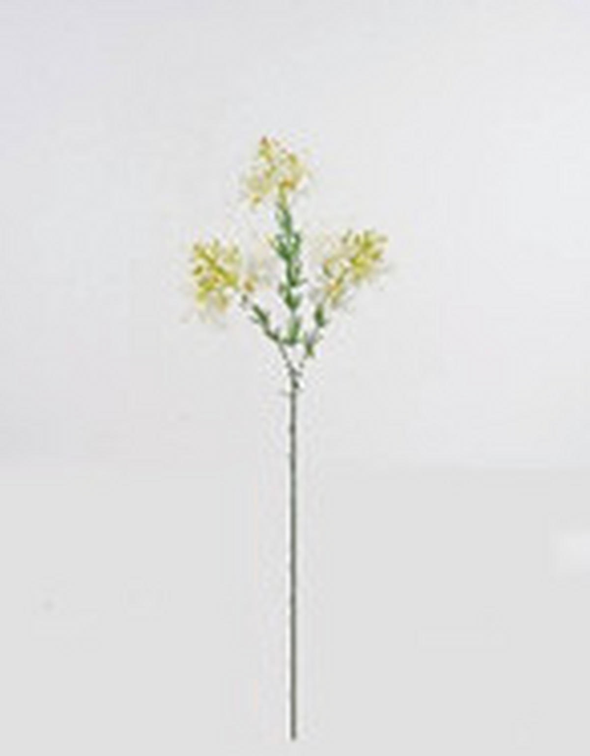 MŰNÖVÉNY - fehér/zöld, Basics, műanyag