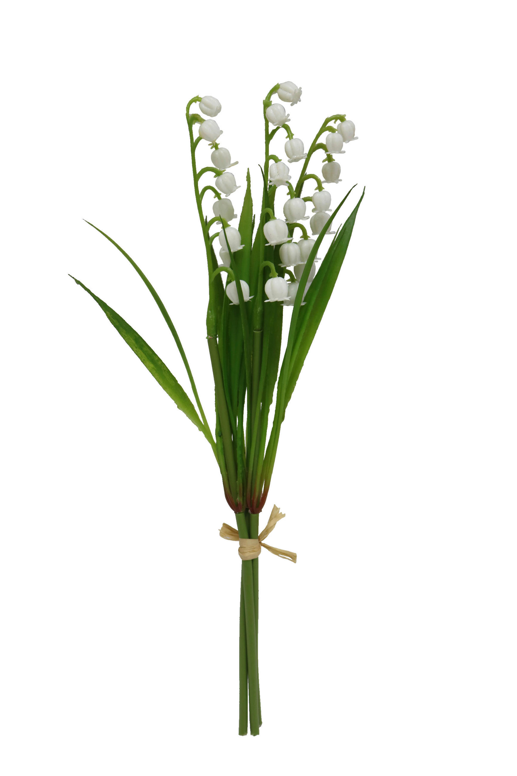 MŰVIRÁG - krém, Basics (28cm)