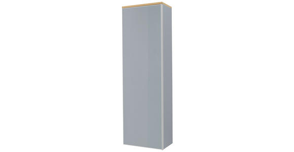 GARDEROBENSCHRANK 54/170/31 cm  - Eichefarben/Silberfarben, Design, Glas/Holz (54/170/31cm) - Novel