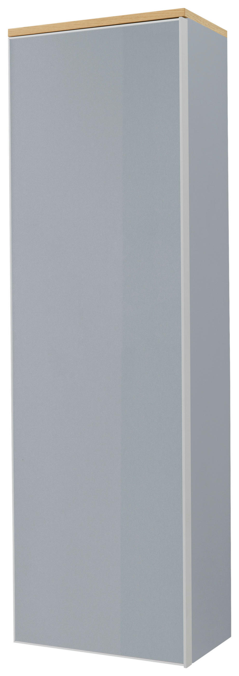 GARDEROBNA OMARA siva, barve hrasta - srebrne barve/siva, Design, kovina/steklo (54/170/31cm) - Novel