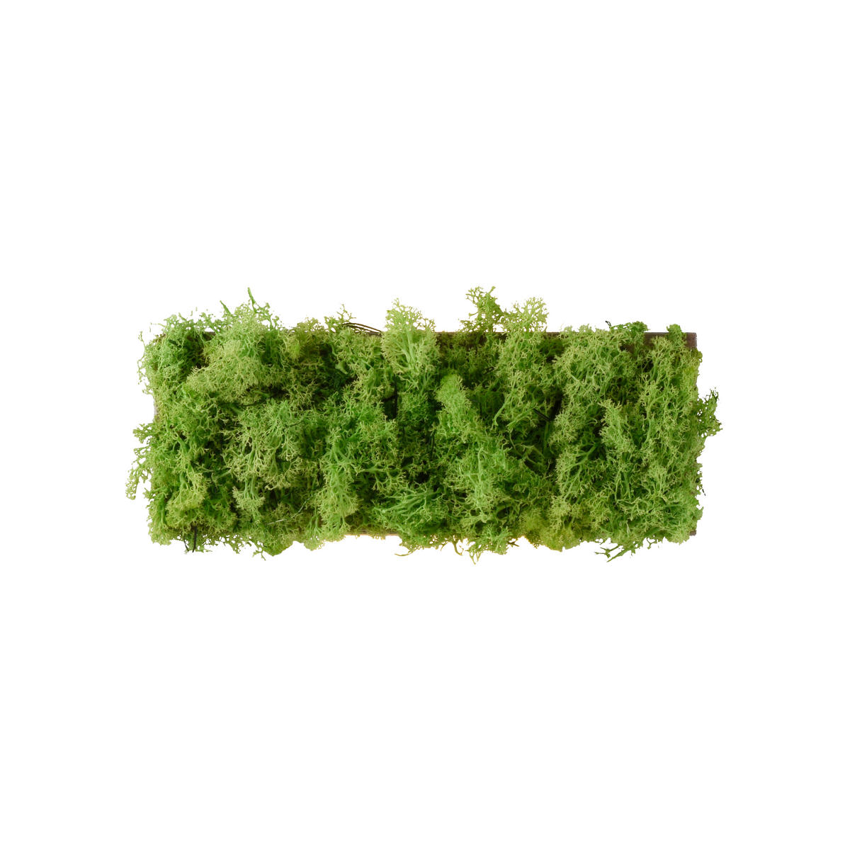 WANDLEUCHTE Carlo 32/6/12 cm   - Natur, Naturmaterialien (32/6/12cm)