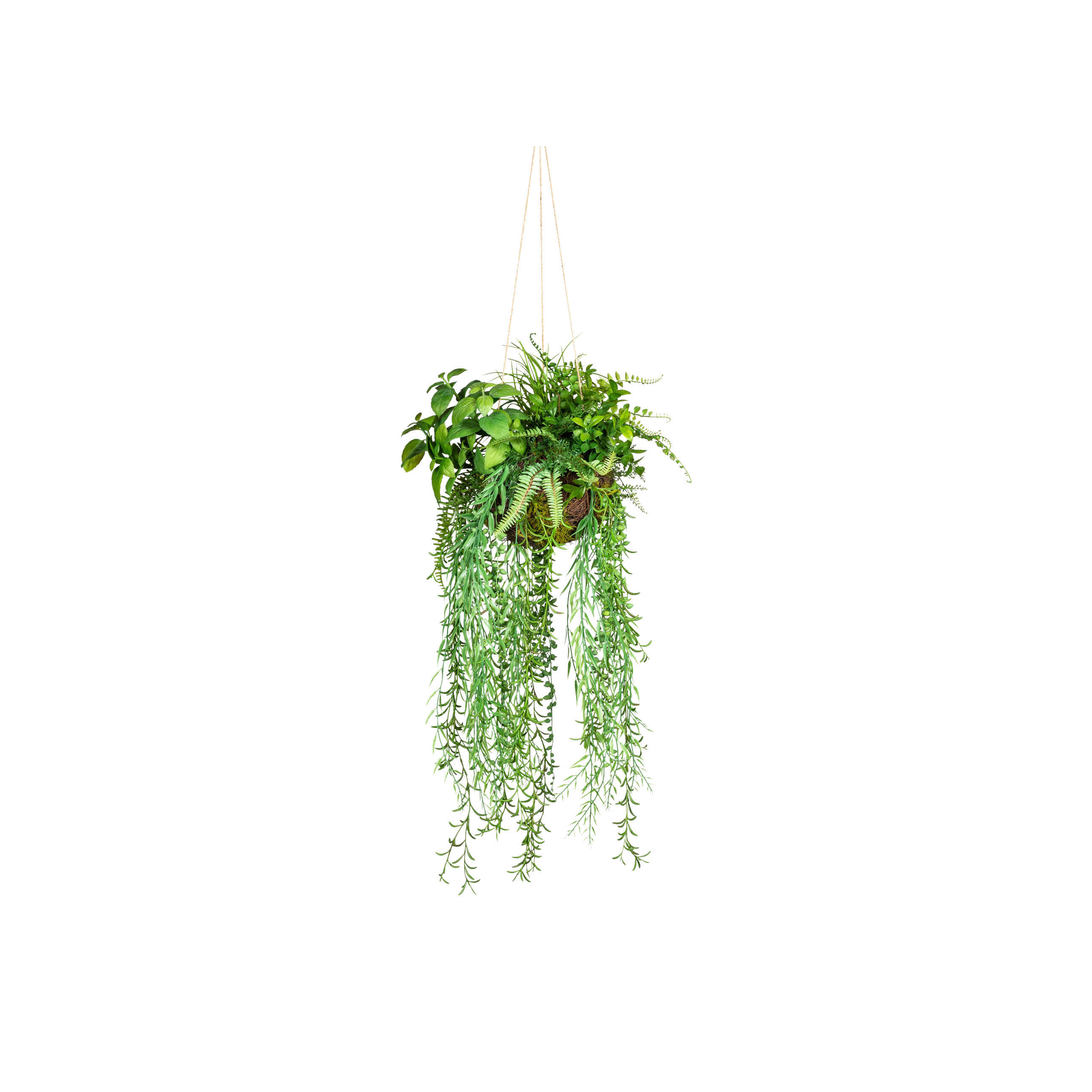 KUNSTPFLANZE 30 cm  - Grün, Design, Kunststoff (30cm) - P & B