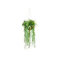 KUNSTPFLANZE 30 cm  - Grün, Design, Kunststoff (30cm) - P & B