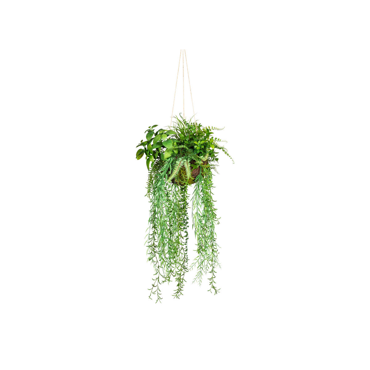 KUNSTPFLANZE 30 cm  - Grün, Design, Kunststoff (30cm) - P & B