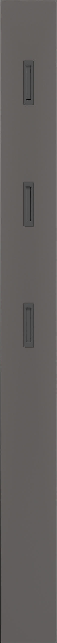 GARDEROBE 3-teilig  in 100/200/29 cm  - Graphitfarben, Design, Glas/Holzwerkstoff (100/200/29cm) - MID.YOU