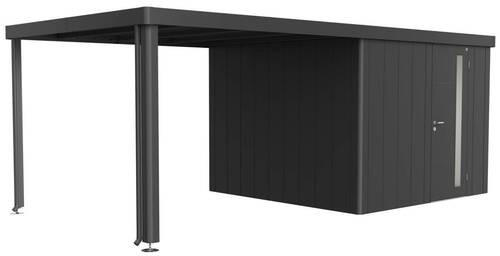 SEITENDACH 300/220/291 cm  - Anthrazit, Basics, Metall (300/220/291cm) - Biohort