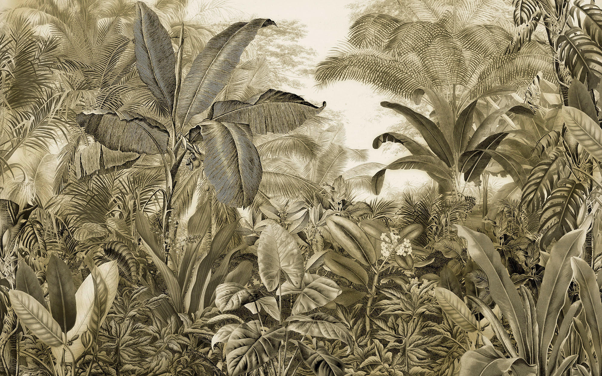 Xora Vliestapete Braun, Grün, Weiß 400x250 cm