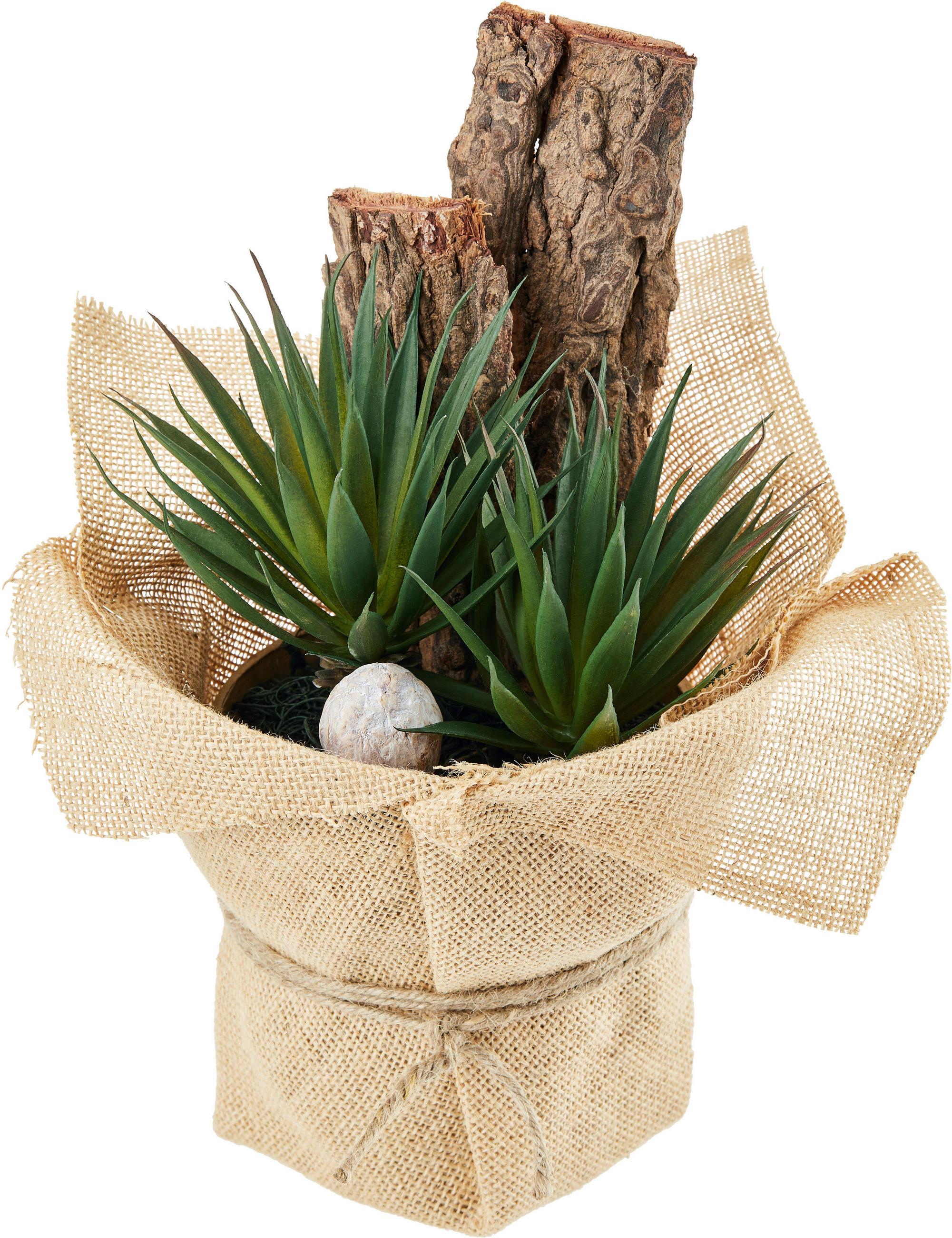 Kunstpflanze Sukkulente Grün/ Naturfarben L: 30 Cm, Sunniva