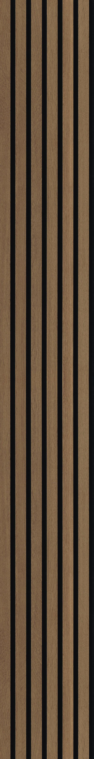 AKUSTIKPANEEL Echtholz Eiche rustikal acous Comfort Light  - Eichefarben, KONVENTIONELL, Holz/Holzwerkstoff (250/30/0.61cm) - Novel