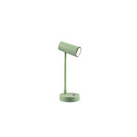 AKKU-TISCHLEUCHTE - Grün, Trend, Kunststoff (28/10/11cm)