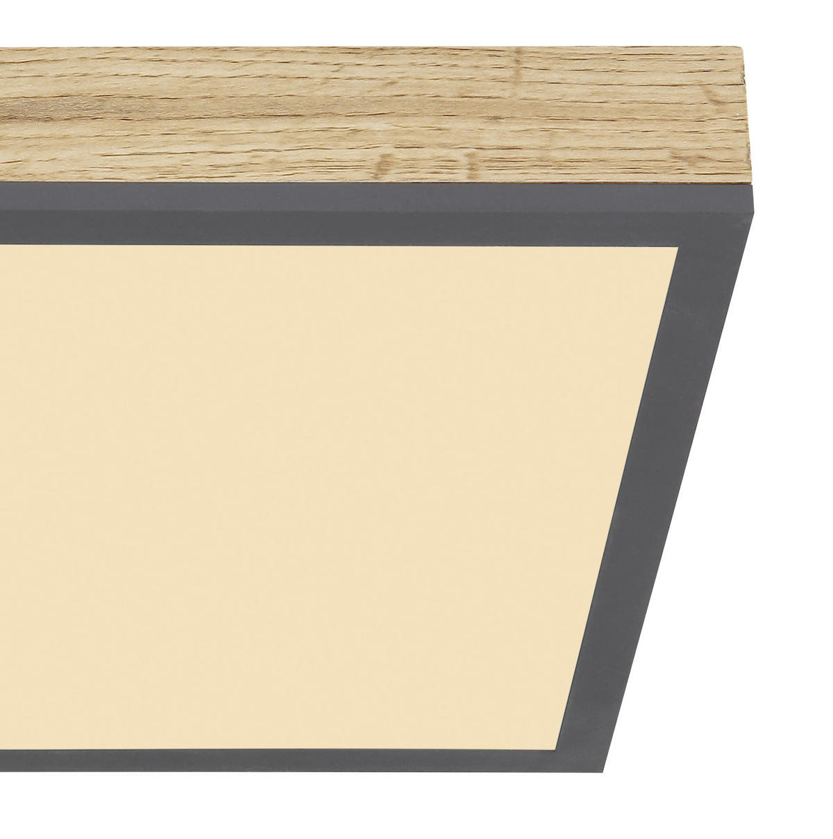 LED PANEL, 30/30 cm  - grafitová/opálová, Basics, kov/plast (30/30cm) - Globo